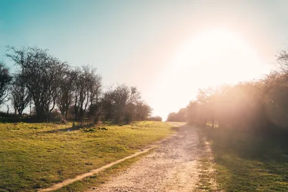 A sunlit, unpaved path stretching through a green field